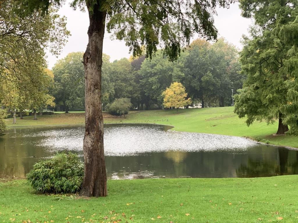 Moebliertes Wohnung Am Geroweiher Moenchengladbach מראה חיצוני תמונה